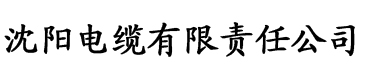 八戒影院视频电缆厂logo